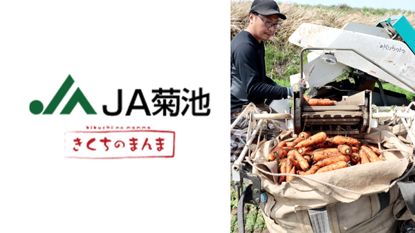 熊本・JA菊池の春ニンジンが出荷本番　甘みたっぷり、日量30トン出荷へ.jpg