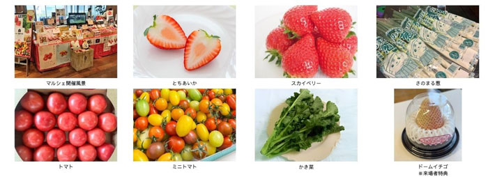 栃木県から旬のイチゴ「佐野の実り」銀座三越みのりみのるマルシェで開催　ＪＡ全農