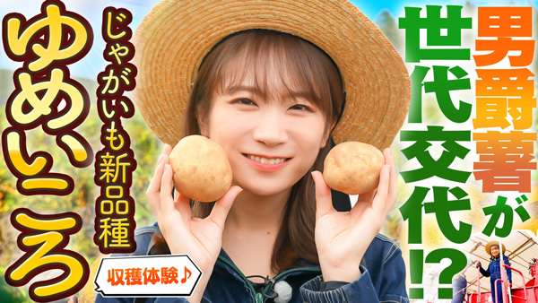 秋元真夏の「ゆるふわたいむ」北海道訓子府町で-じゃがいもの新品種「ゆめいころ」を収穫　ＪＡタウン