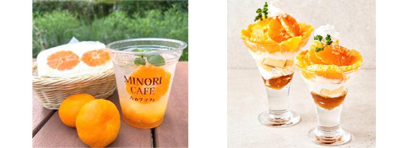 みのりカフェ銀座店で提供するサンド（600円）と、ごろごろスカッシュ（600円）、みのる食堂銀座店で提供のパフェ（1280円）
