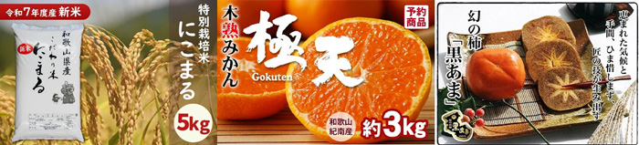 左から、新米キャンペーン対象　令和7年度産　こだわり米「にこまる」、国消国産フェア対象商品の木熟みかん「極天」（小玉サイズ） 約3kg、国消国産フェア対象商品の紀の川柿【黒あま】約4kg