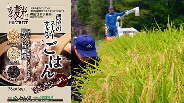 大阪の農地守るスーパー玄米「ＷＥ米」発売へ　ＪＡ北大阪