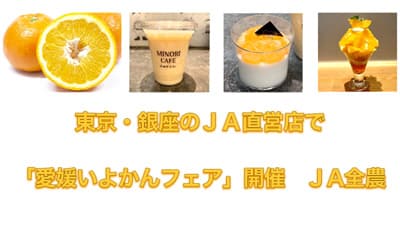 東京・銀座のＪＡ直営店で「愛媛いよかんフェア」開催　ＪA全農s.jpg