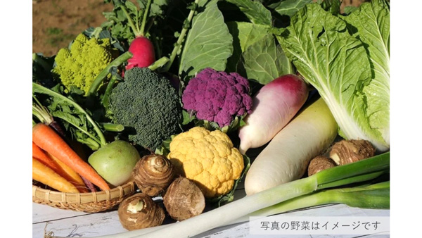 ＪＡよこすか葉山の直売所から直送「すかなごっそ-季節の野菜セット」販売中　ＪＡタウン.jpg