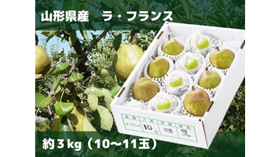 「山形ラ・フランス」など対象「国産農畜産物のお客様送料負担なしキャンペーン」開催中　ＪＡタウン_02s.png