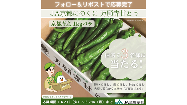 キャンペーンの案内