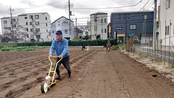 【農協研・三鷹現地研究会②】農業者の思いが原動力に　都市農業に驚きの連続　農協研究会・谷口信和会長