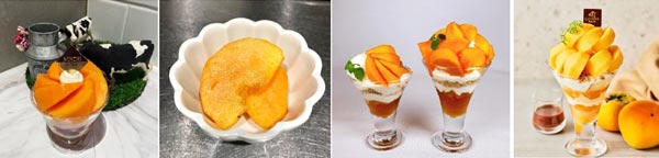 左から、みのりカフェエキエ広島で提供する「輝太郎柿のパフェ」（550円）、 みのる食堂エキエ広島では定食の小鉢に付けて提供、 みのるダイニングさんすて岡山で提供する「輝太郎パフェ（レギュラー）」（1199円）（左）と「輝太郎パフェ（デラックス）（1639円）、 みのるダイニングさんすて岡山で提供の「GODIVAコラボパフェ」（1790円）