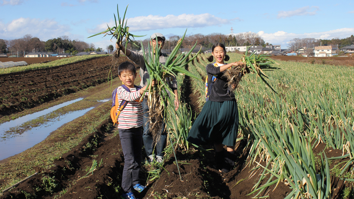 里山保全が評価され農業生者に取り組み数多くの野菜が生産されている