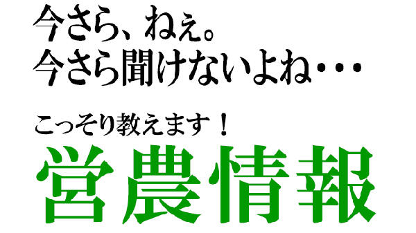 GAPとは【今さら聞けない営農情報】第55回