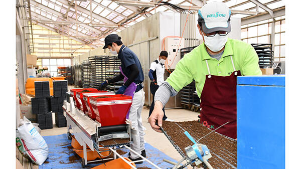 機械化で雑穀増産、供給責任果たす－ＪＡグリーンサービス花巻