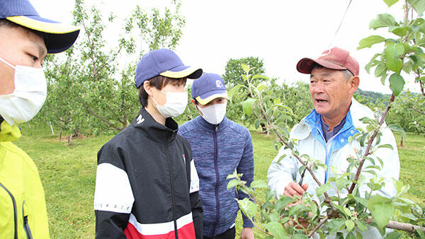 大学生が果樹農家で援農－ＪＡふくしま未来と福島大が連携