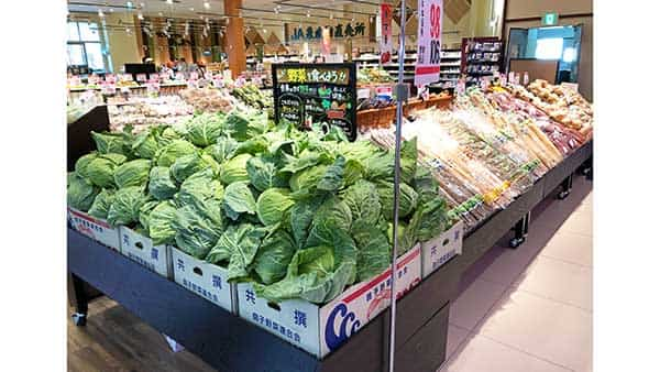 新鮮な野菜が並ぶ青果売り場