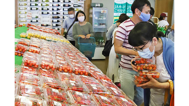 サクランボを買い求める来店者（山梨県南アルプス市で）