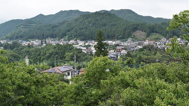石川さん宅の裏山から見た近隣の景色。宅地の場所はかつて梅の木が植えられていた
