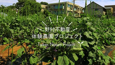 野村不動産とＪＡ世田谷目黒が業務提携　「都市型体験農園サービス」を開始