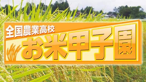 未来の担い手応援！全国農業高校「お米甲子園」に協賛　ＪＡ全農