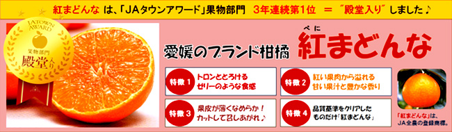 愛媛限定栽培「紅まどんな」予約受付開始　ＪＡ全農えひめ