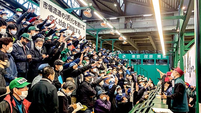 西宇和みかんの初競りで盛り上がる大田市場