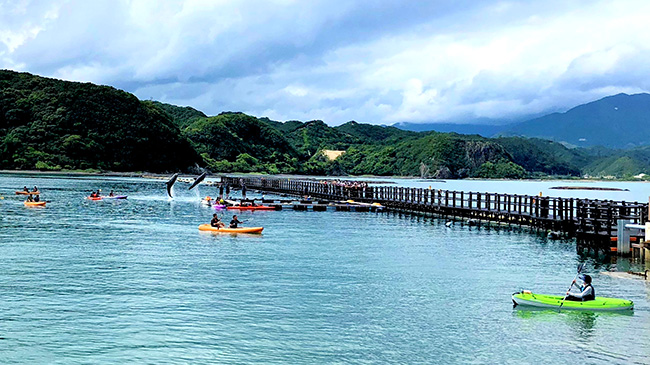 湾内を周遊するシーカヤック