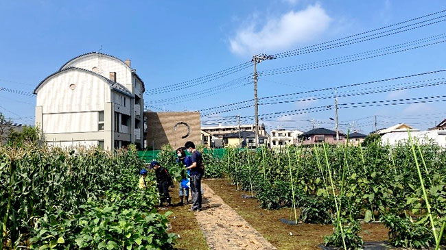 体験農園サービスが行われる世田谷区の農地