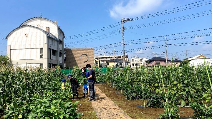 体験農園サービスが行われる世田谷区の農地収穫体験農園