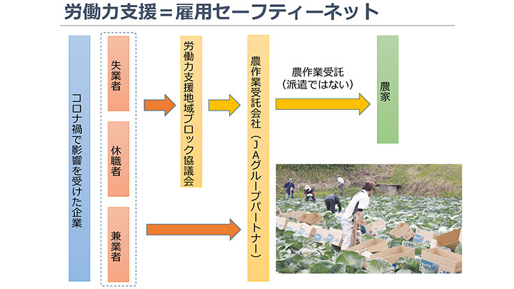 労働力支援スキームを全国展開－ＪＡ全農