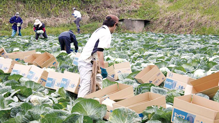 労働力支援スキームを全国展開－ＪＡ全農