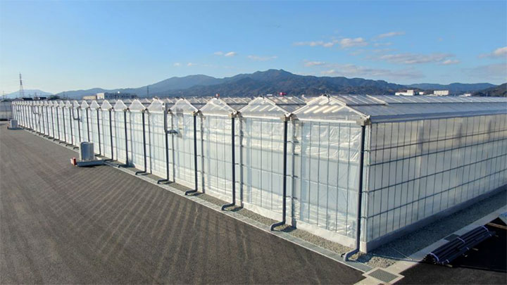 温室の外観