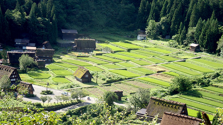 農村の景観は農泊の大きな魅力（岐阜県の白川郷）