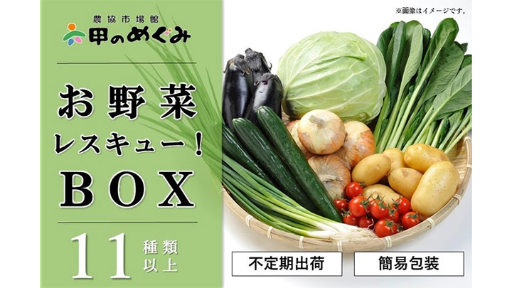 フードロス削減「おつとめ野菜ボックス」販売　ＪＡタウン