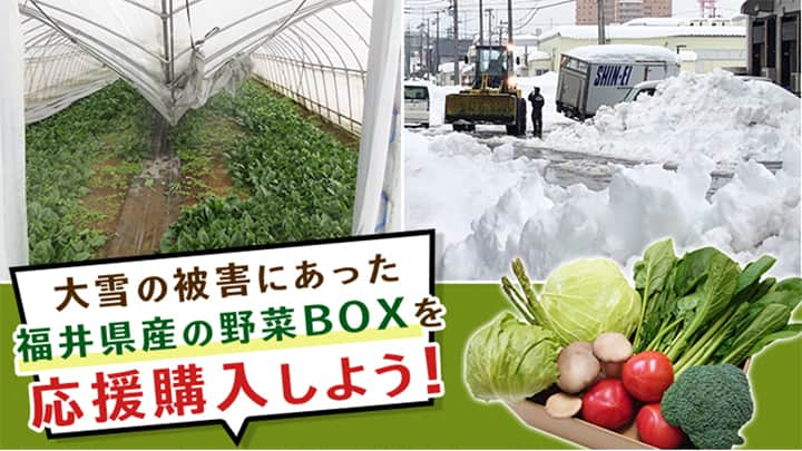 大雪被害にあった福井県産の野菜BOXを応援購入