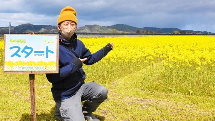 青年部が「菜の花迷路」を一般解放　ＪＡ鶴岡