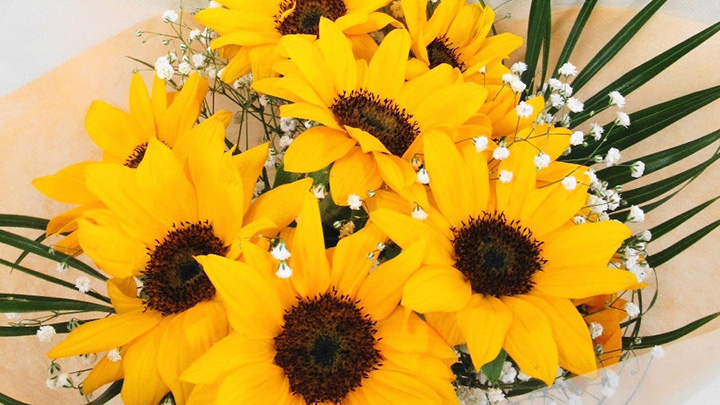 父の日に「秋田県産ひまわりの花束」を　ＪＡ全農あきた