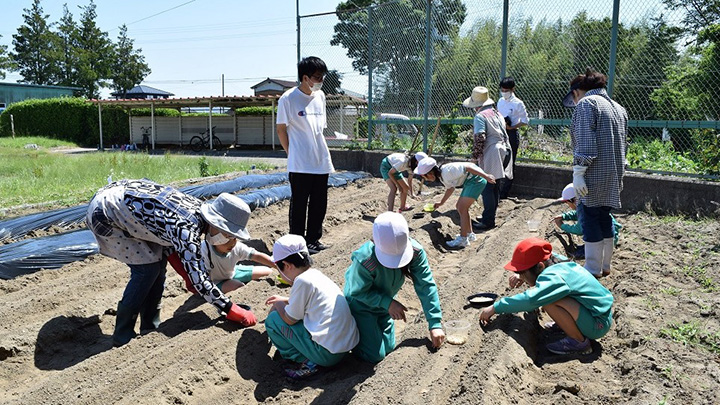 小学生と大豆の種まき、夏野菜を定植　ＪＡいしのまき女性部桃生地区