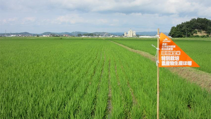 【農業協同組合研究会】宮城県ＪＡみやぎ登米　環境保全米　20年の挑戦