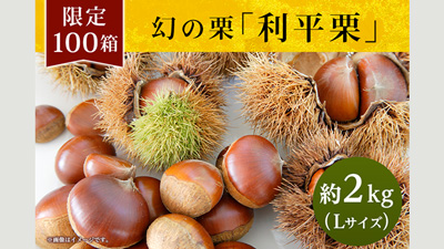 秋の味覚・栗の王様　熊本「利平栗」販売開始　ＪＡタウン