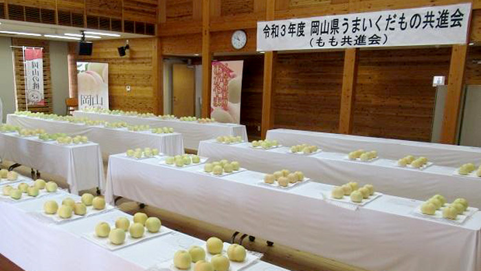 岡山県うまいくだもの共進会の様子