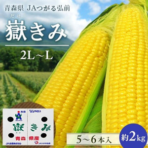 地域限定生産　青森県産プレミアムとうもろこし「嶽きみ」販売開始　JAタウン