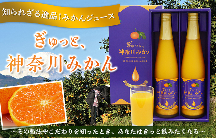 「神奈川県産みかん100%ジュース」でCF応援プロジェクト開始　ＪＡ全農かながわ