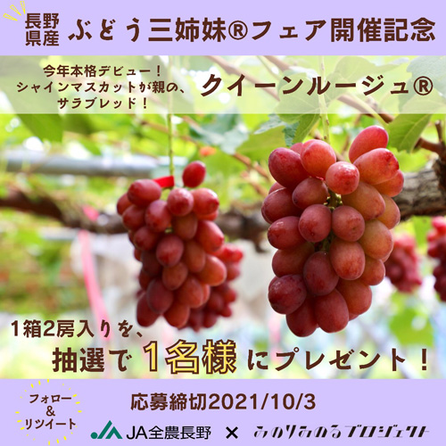 「長野県産ぶどう三姉妹フェア開催記念」