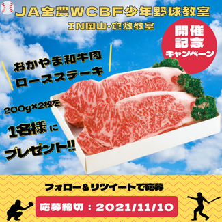 里崎らプロ野球OBが熱血指導「ＪＡ全農WCBF少年野球教室」岡山で開催