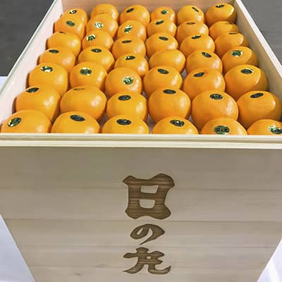 150万円で落札された桐箱入り 「日の丸みかん（20キロ）」