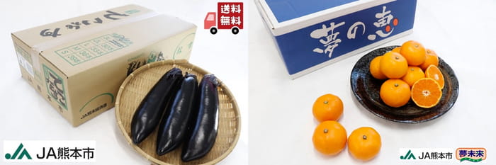 早生みかん「夢の恵」と「肥後のでこなす」