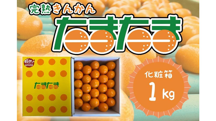 きんかん「たまたま」