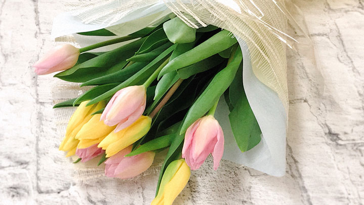 一足早い春が届く 新潟県産チューリップ花束 販売開始 ｊａタウン ニュース ｊａの活動 Jacom 農業協同組合新聞