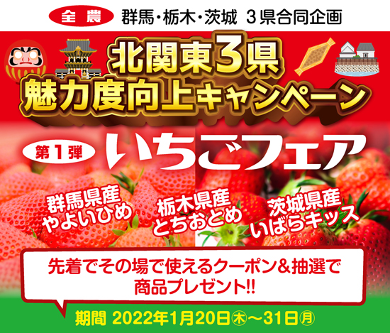 群馬・茨城・栃木のいちごがお買い得「北関東3県魅力度向上キャンペーン」開始　ＪＡタウン