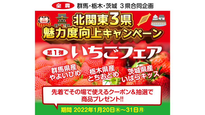 群馬・茨城・栃木のいちごがお買い得「北関東3県魅力度向上キャンペーン」開始　ＪＡタウン