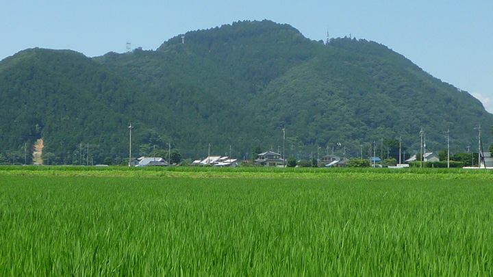 豊かさを求めて＜上＞地位向上に産声上げる