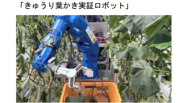 ゆめファーム全農ＳＡＧＡで実証中の「きゅうり葉かき実証ロボット」